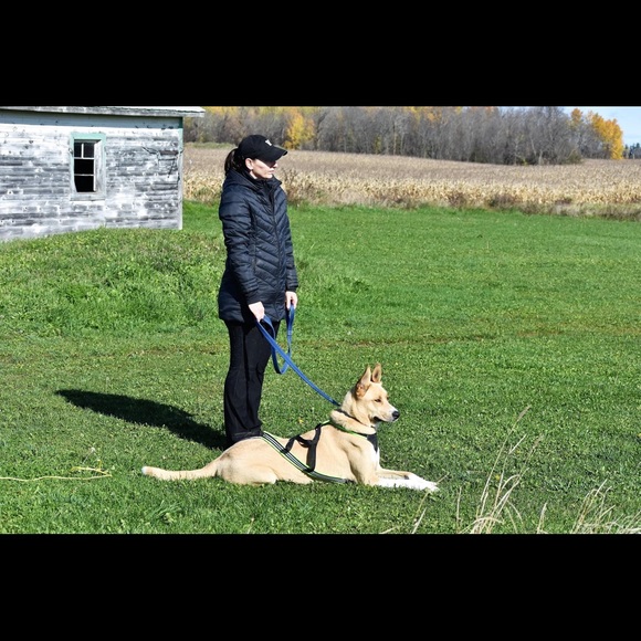 Meet your Posher, Ann - Picture 2 of 2